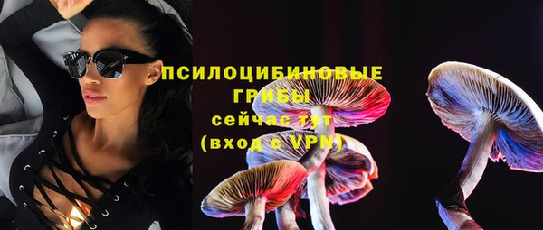 стаф Балахна