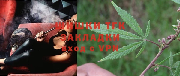 стаф Балахна