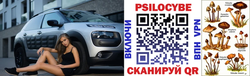 Купить закладки  Чулым  Псилоцибиновые грибы Psilocybine cubensis 